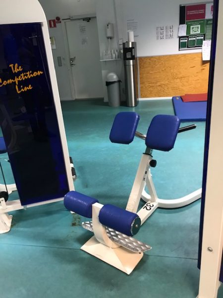 Hyperextension 45 Ryggbänk
