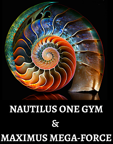 Personlig Träning 2.0 med Nautilus One Gym - NAUTILUS ONE OCH MAXIMUS MEGA FORCE 2