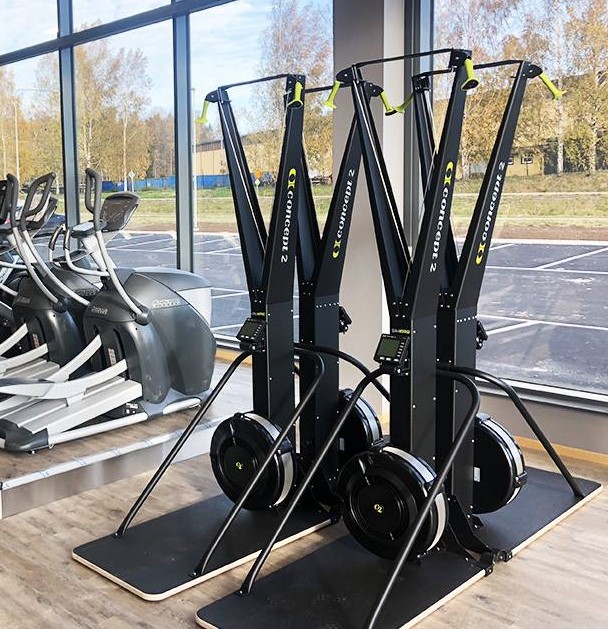 Stora GymAuktioner Hösten 2020 - Skierg-2-2.jpg